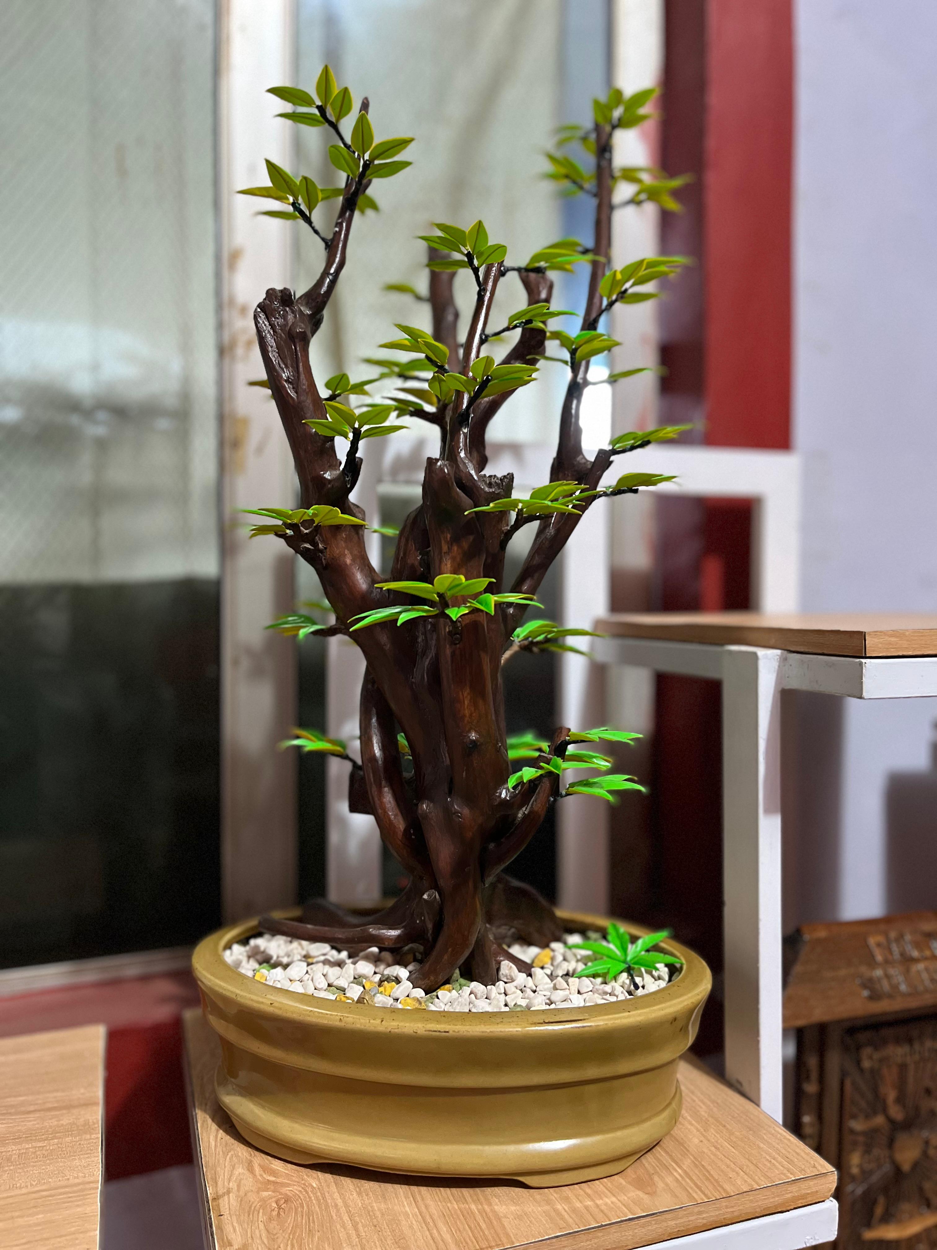 Bonsai Artifisial Model Klasik Tegak
